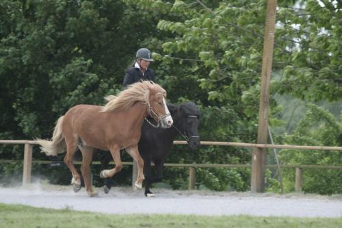 mg 0022 bildgre-ndern