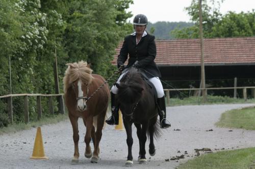 mg 0025 bildgre-ndern