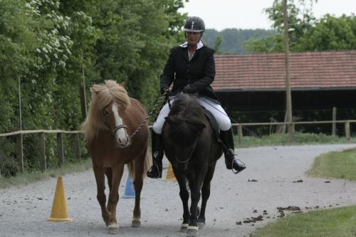 mg 0026 bildgre-ndern