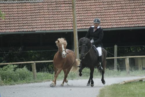 mg 0030 bildgre-ndern