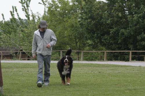 mg 0033 bildgre-ndern