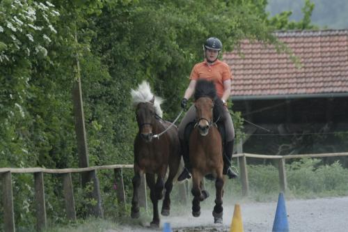 mg 0038 bildgre-ndern