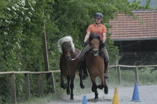 mg 0039 bildgre-ndern