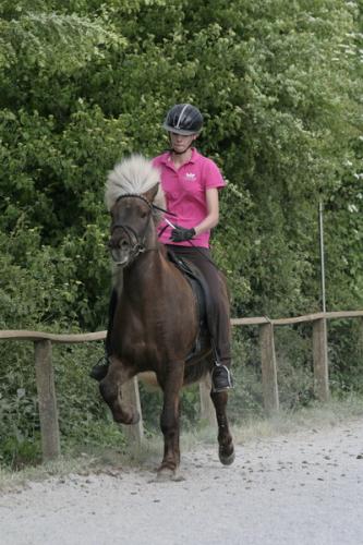 mg 0042 bildgre-ndern