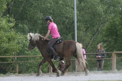 mg 0045 bildgre-ndern