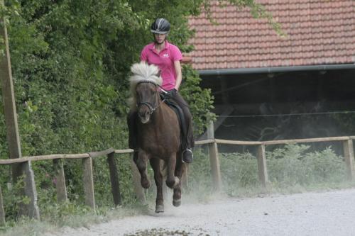 mg 0049 bildgre-ndern