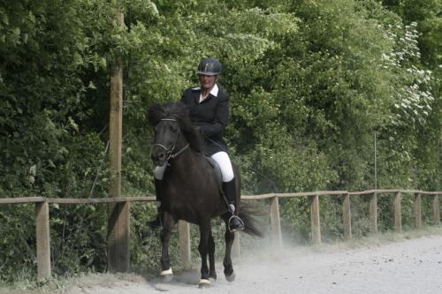 mg 0055 bildgre-ndern