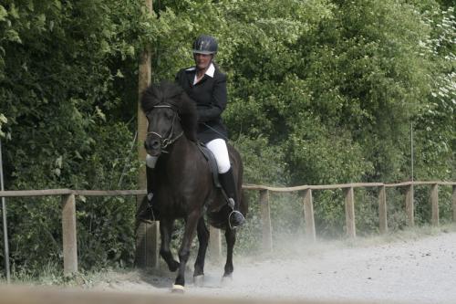 mg 0056 bildgre-ndern