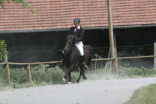 mg 0058 bildgre-ndern