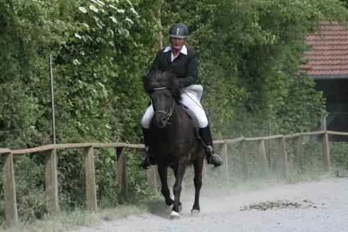 mg 0059 bildgre-ndern