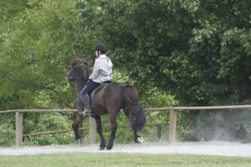 mg 0062 bildgre-ndern