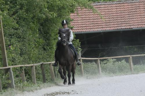 mg 0064 bildgre-ndern