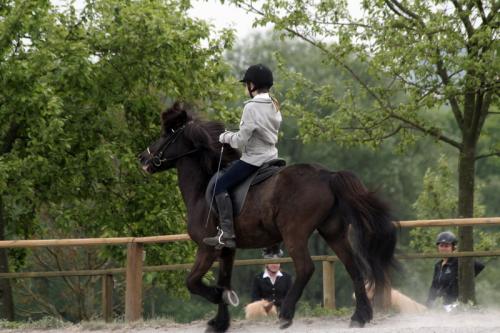 mg 0066 bildgre-ndern