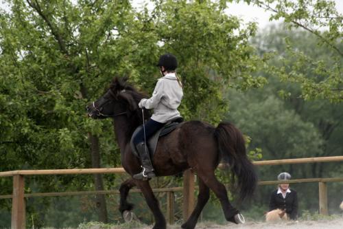 mg 0067 bildgre-ndern