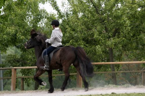 mg 0069 bildgre-ndern