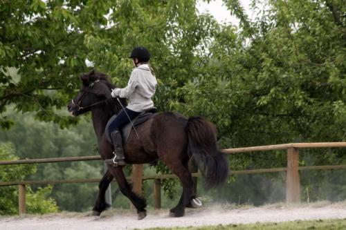 mg 0070 bildgre-ndern