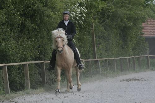 mg 0072 bildgre-ndern