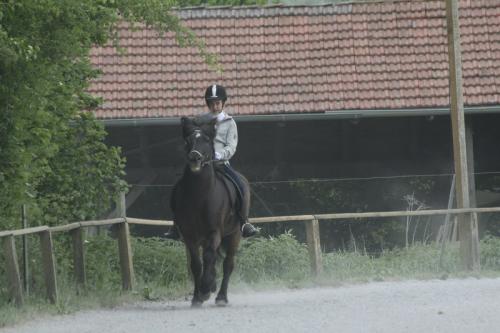 mg 0073 bildgre-ndern