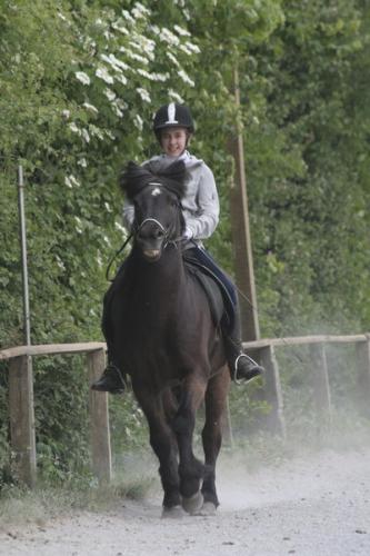 mg 0075 bildgre-ndern