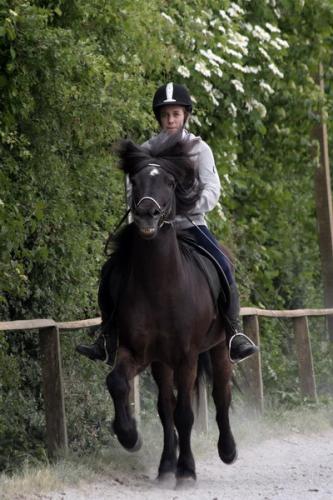 mg 0077 bildgre-ndern