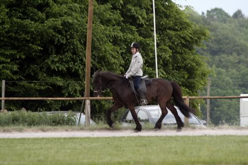 mg 0080 bildgre-ndern