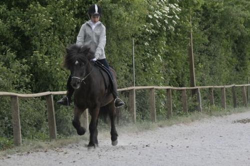 mg 0081 bildgre-ndern