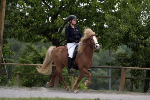 mg 0083 bildgre-ndern