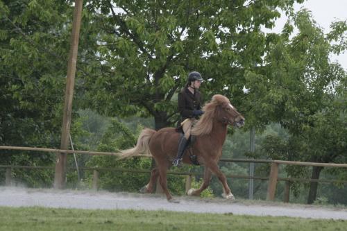 mg 0088 bildgre-ndern