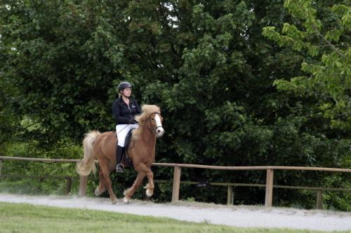 mg 0090 bildgre-ndern