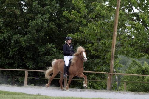 mg 0092 bildgre-ndern