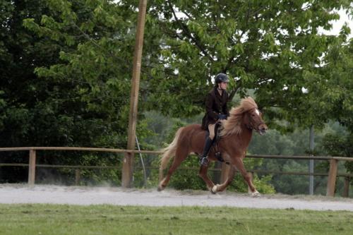 mg 0096 bildgre-ndern