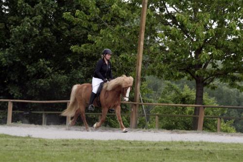 mg 0097 bildgre-ndern