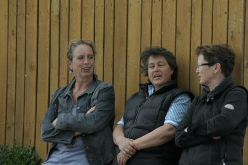 mg 0099 bildgre-ndern