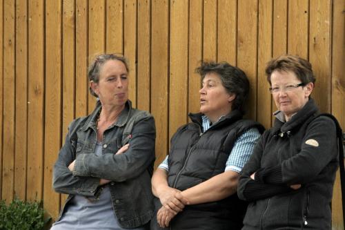 mg 0100 bildgre-ndern