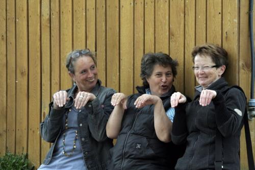 mg 0101 bildgre-ndern