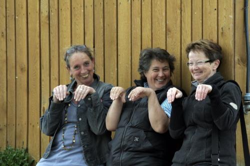 mg 0102 bildgre-ndern