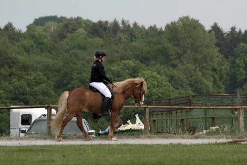 mg 0103 bildgre-ndern