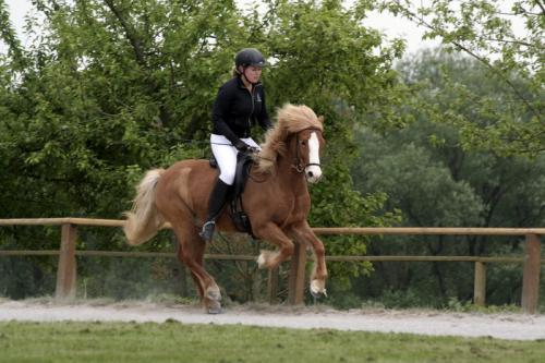 mg 0105 bildgre-ndern