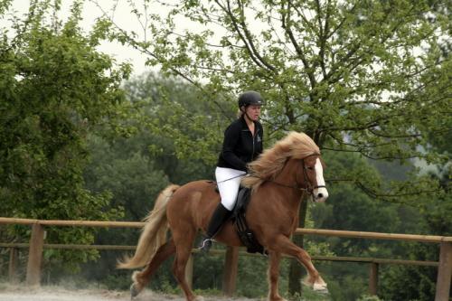 mg 0108 bildgre-ndern