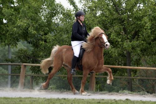 mg 0110 bildgre-ndern