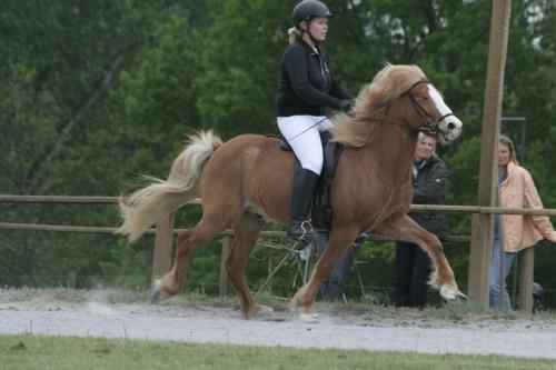 mg 0114 bildgre-ndern