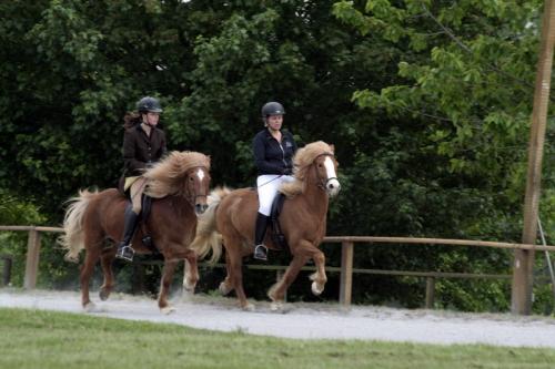 mg 0116 bildgre-ndern