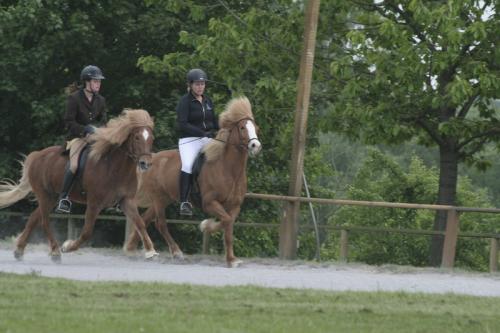 mg 0117 bildgre-ndern