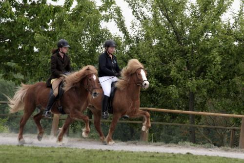 mg 0119 bildgre-ndern