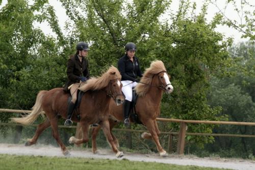 mg 0120 bildgre-ndern