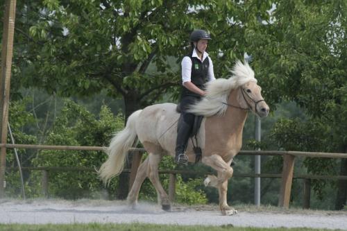 mg 0123 bildgre-ndern