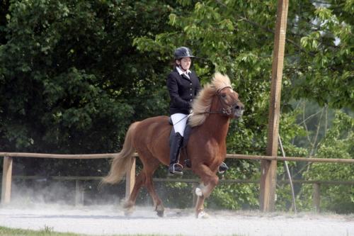 mg 0124 bildgre-ndern