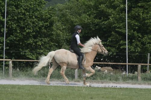 mg 0126 bildgre-ndern