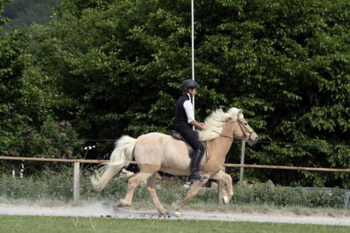 mg 0127 bildgre-ndern