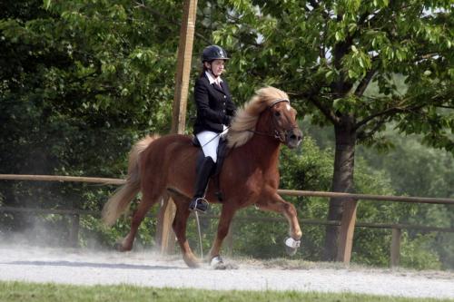 mg 0132 bildgre-ndern